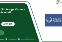 Al Ansari Exchange Careers