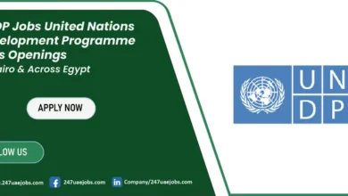 UNDP Jobs in Egypt